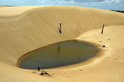 pool in desert