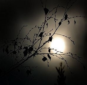 darkness.
