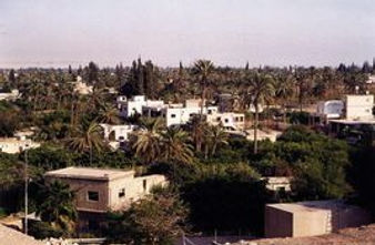 Jericho oasis