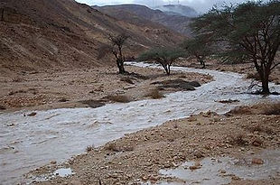 wadi flood