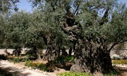 gethsemane