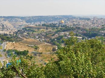 mt of olives