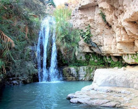 En Gedi National Park