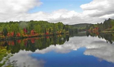 Canadian Fall