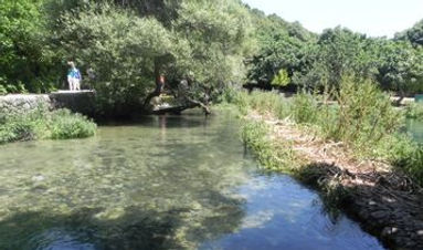 Banyas Source of R.Jordan