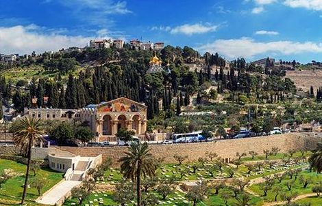 mt of olives