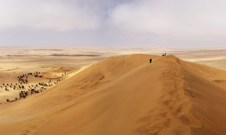 namib-desert.