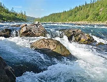 rapids