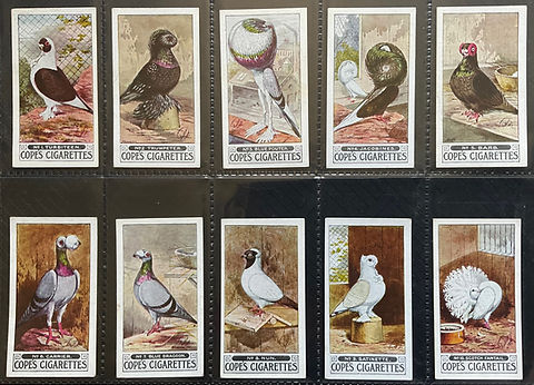 copes cigarette cards COPES - PIGEONS copes cigarette cards COPES - PIGEONS
