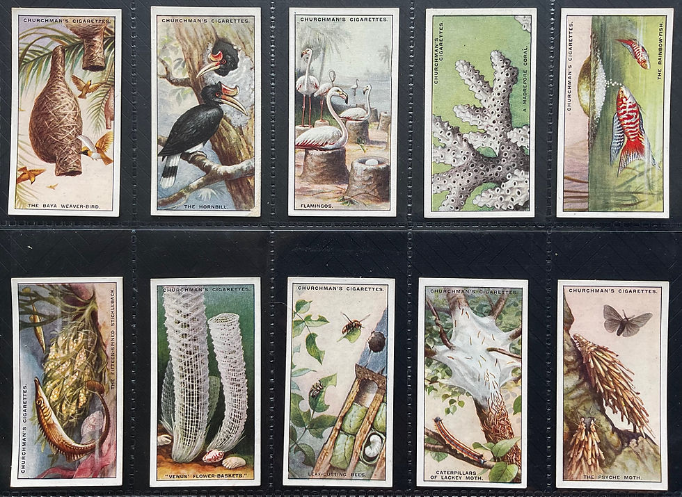 Thumbnail: Churchman Natures Architects Cigarette Cards