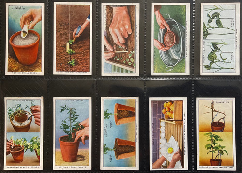 does tobacco kill you Big tobacco sues FDA over cigarette warning labels