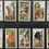 Thumbnail: Gallaher Wild Animals Cigarette Cards