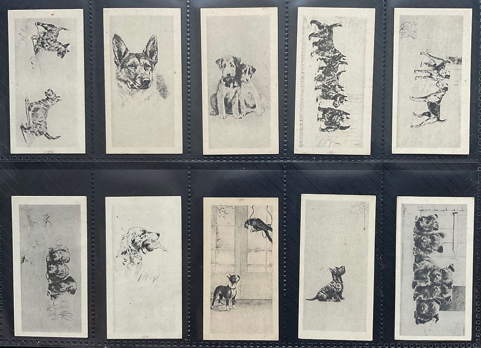 Thumbnail: British American Tobacco B.A.T Etchings Of Dogs Cigarette Cards