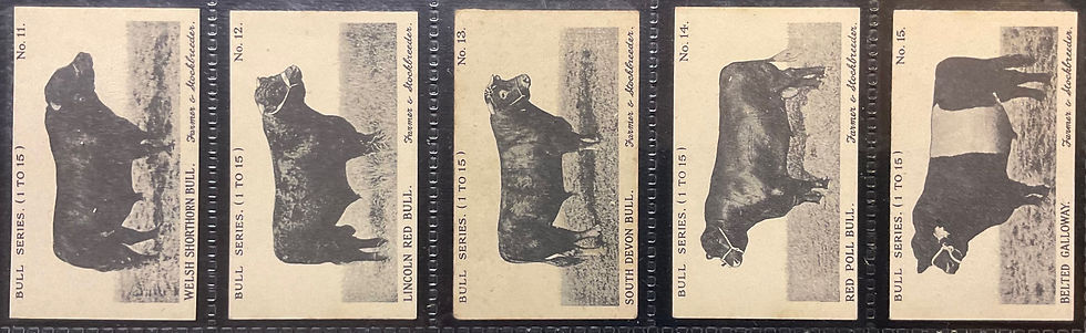Thumbnail: Oxo   Bull Series Trade Cards