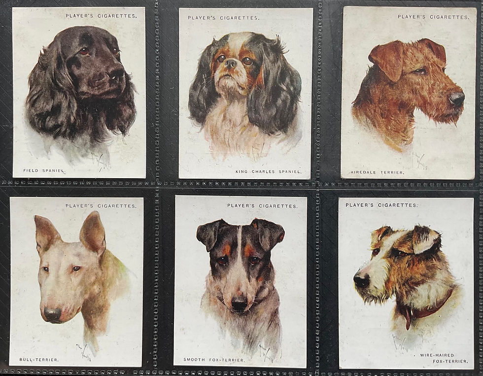 Thumbnail: Players Dogs Heads A Series Cigarette Cards