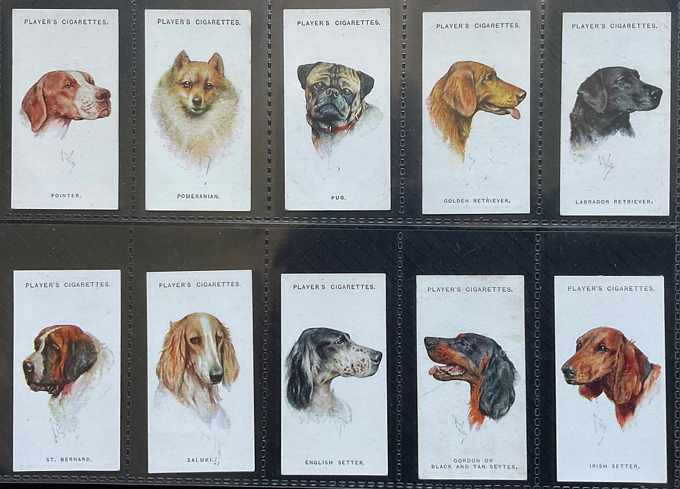 Thumbnail: Players Dogs Heads By Wardle Cigarette Cards