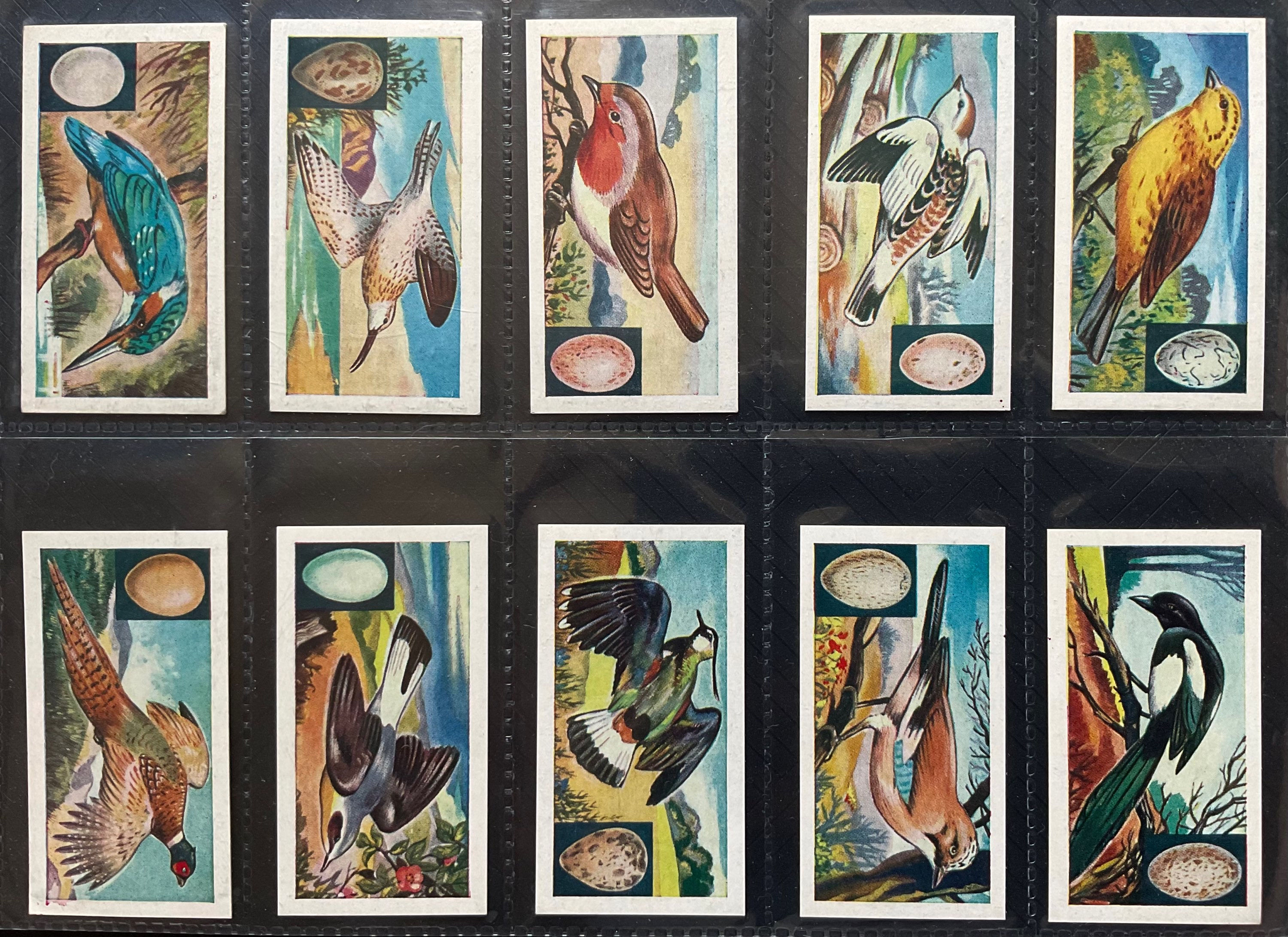 Empson Tea Birds Tea Cards