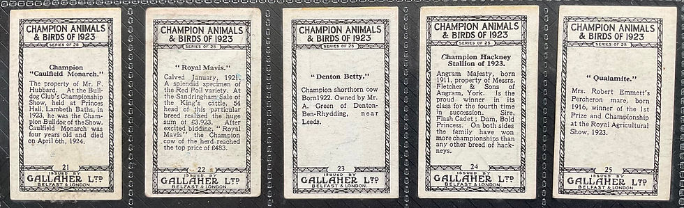 Thumbnail: Gallaher Champion Animals & Birds Of 1923 Cigarette Cards