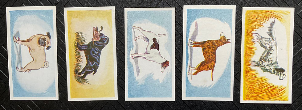Thumbnail: Cadet Dogs 1st Series Confectionary Cards