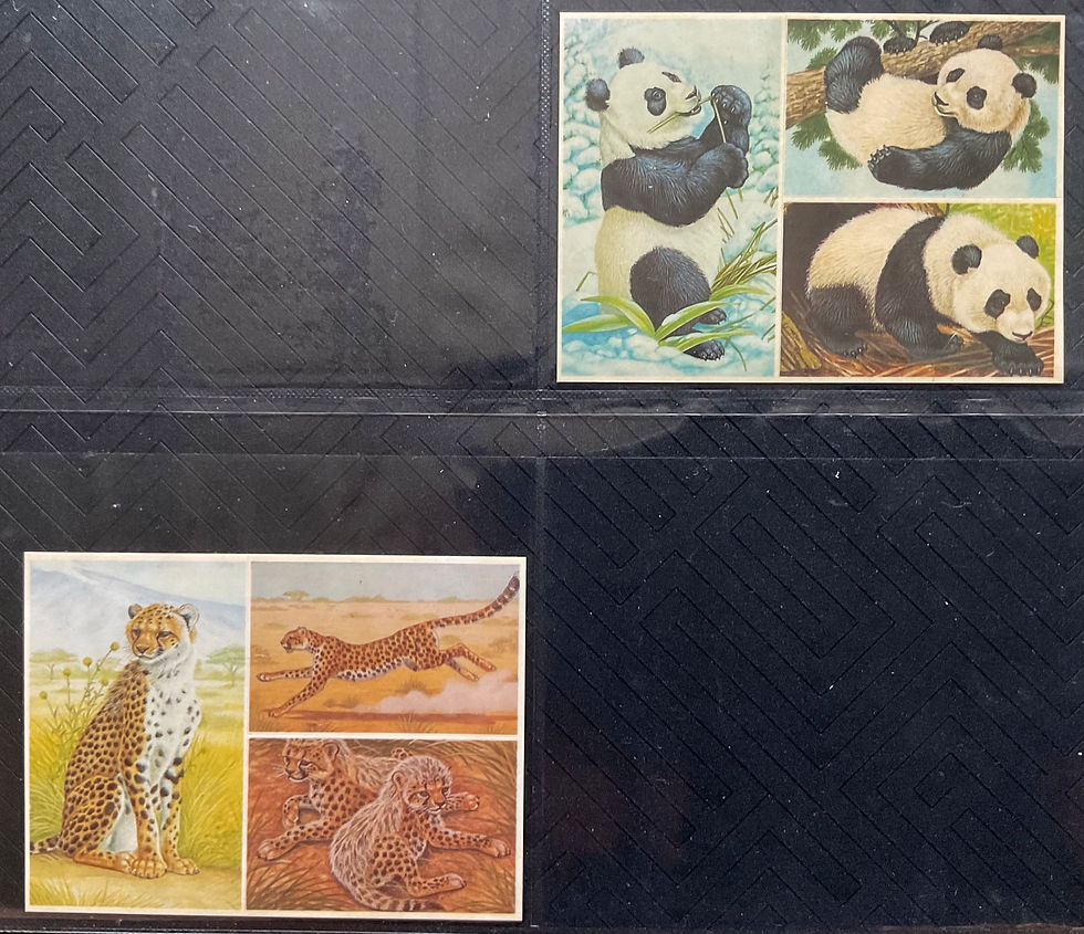 Cadbury Sticker Cadburys Wildlife Stickers Confectionary Cards | JSCards