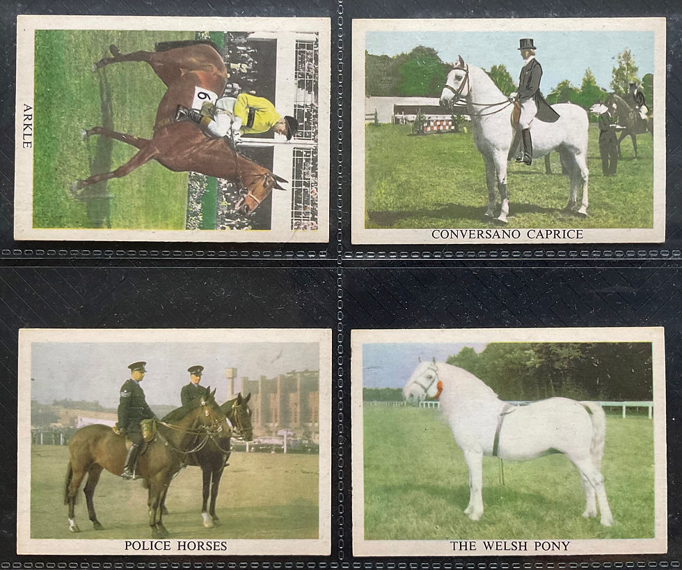 Thumbnail: Anglo American Chewing Gum The Horse Bubblegum Cards