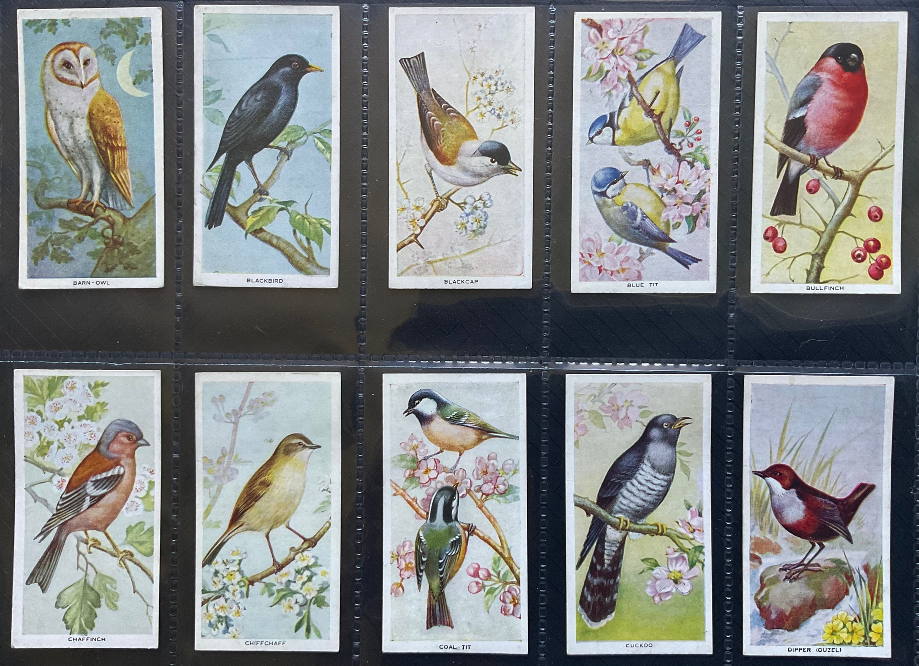 Carreras Birds Of The Countryside Cigarette Cards