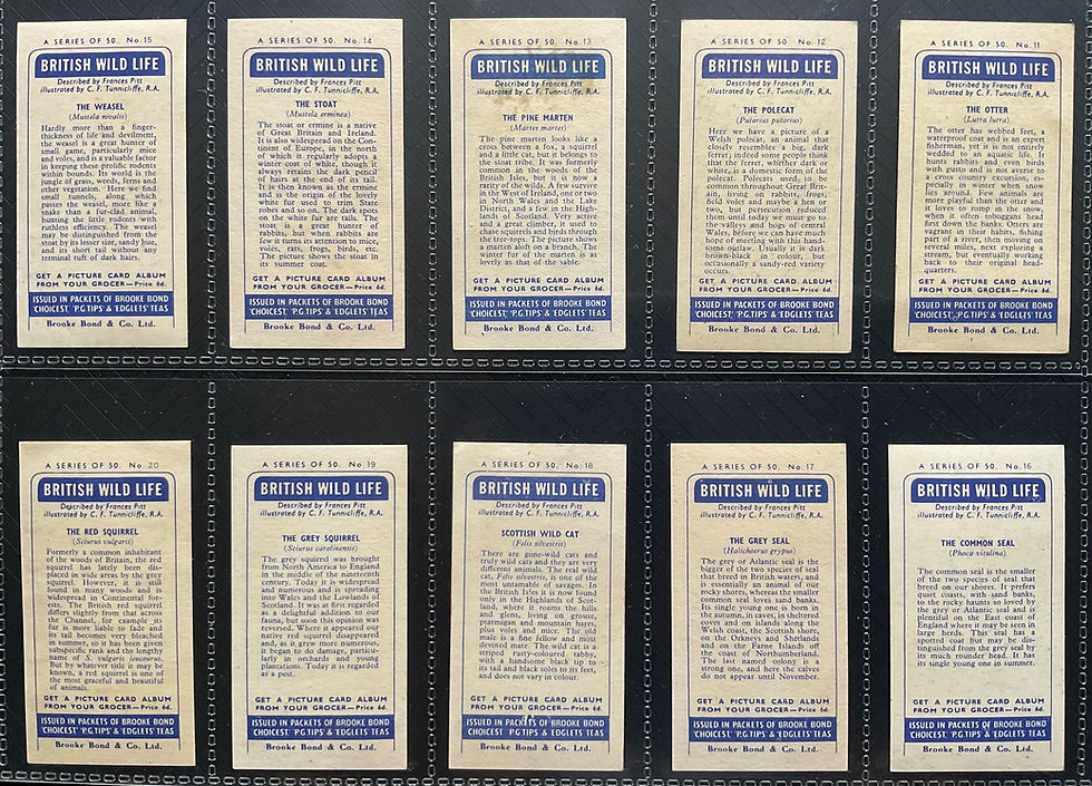 Thumbnail: Brooke Bond British Wild Life Brooke Bond & Co Tea Cards