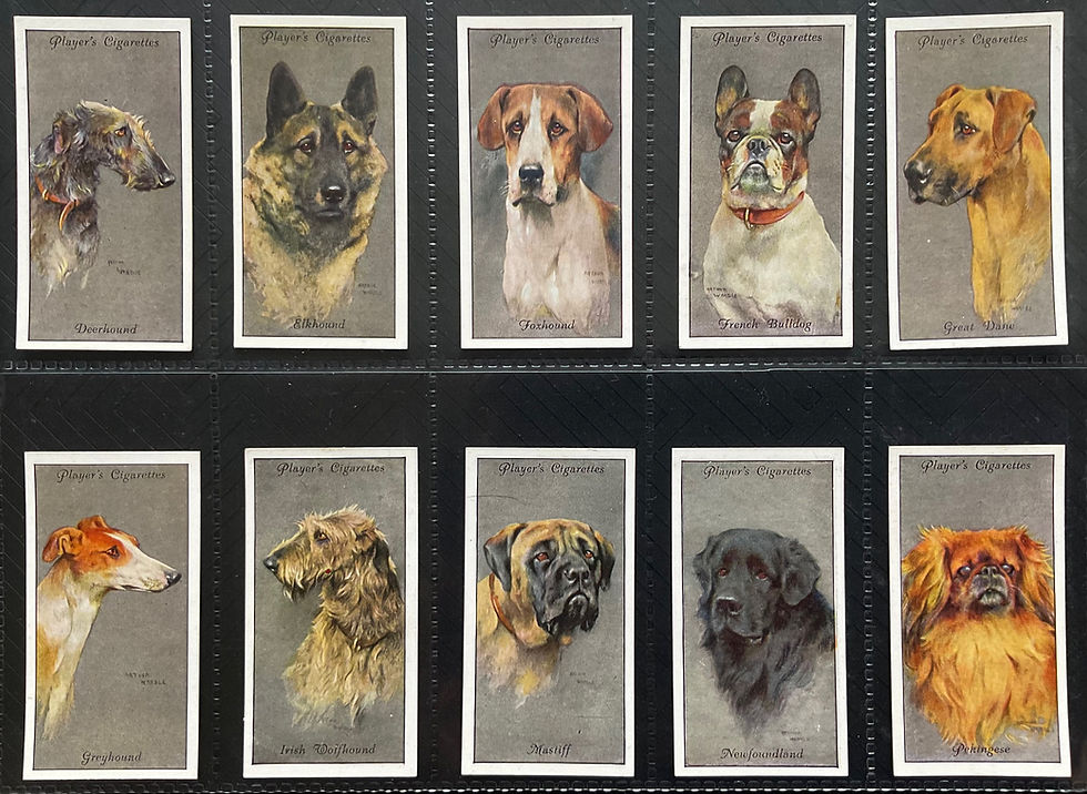 Thumbnail: Players Dogs Heads Silver Background Eire Cigarette Cards Cigarette Card