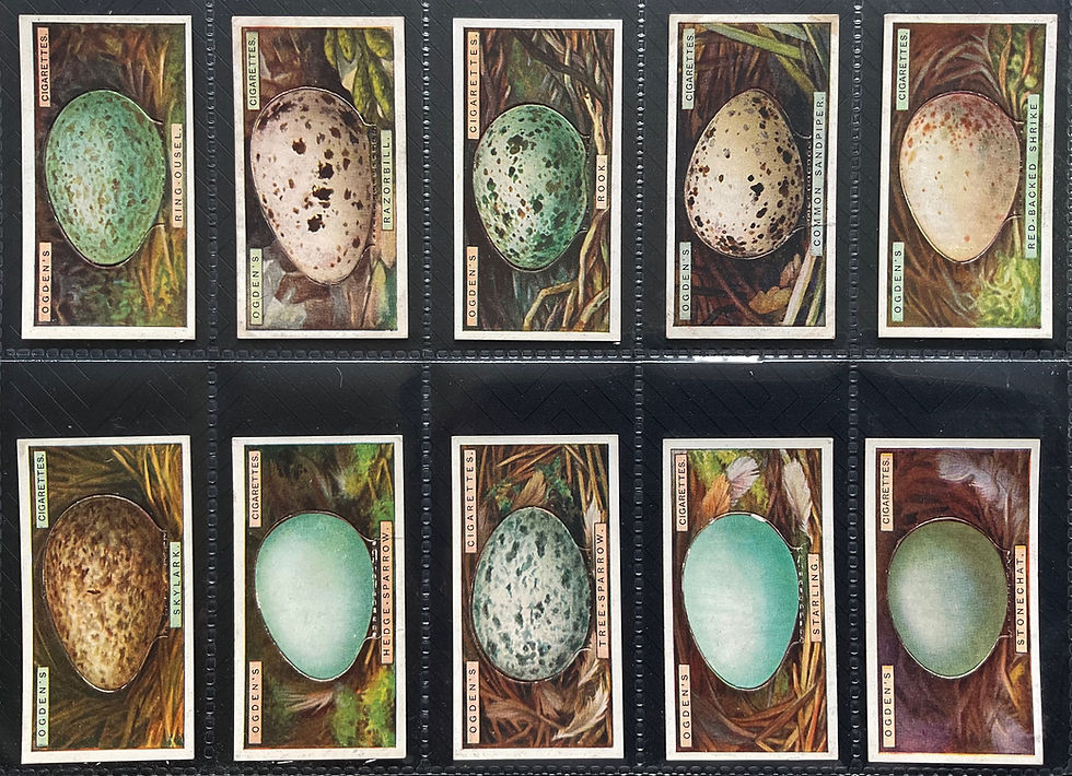 Thumbnail: Ogdens Birds Eggs Cut Outs Cigarette Cards