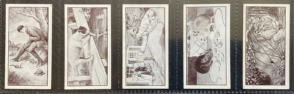 Thumbnail: Woods Aesops Fables Cigarette Cards
