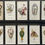 Thumbnail: Lea Old Pottery Silk Cigarette Cards