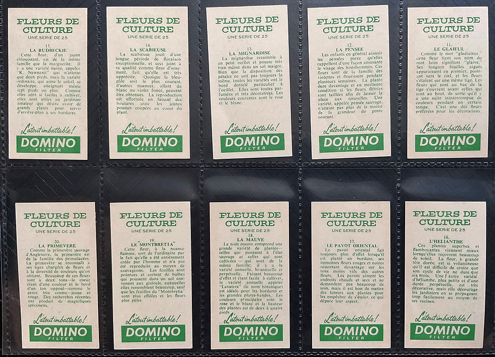 Thumbnail: British American Tobacco B.A.T Domino Fleurs De Culture Cigarette Cards