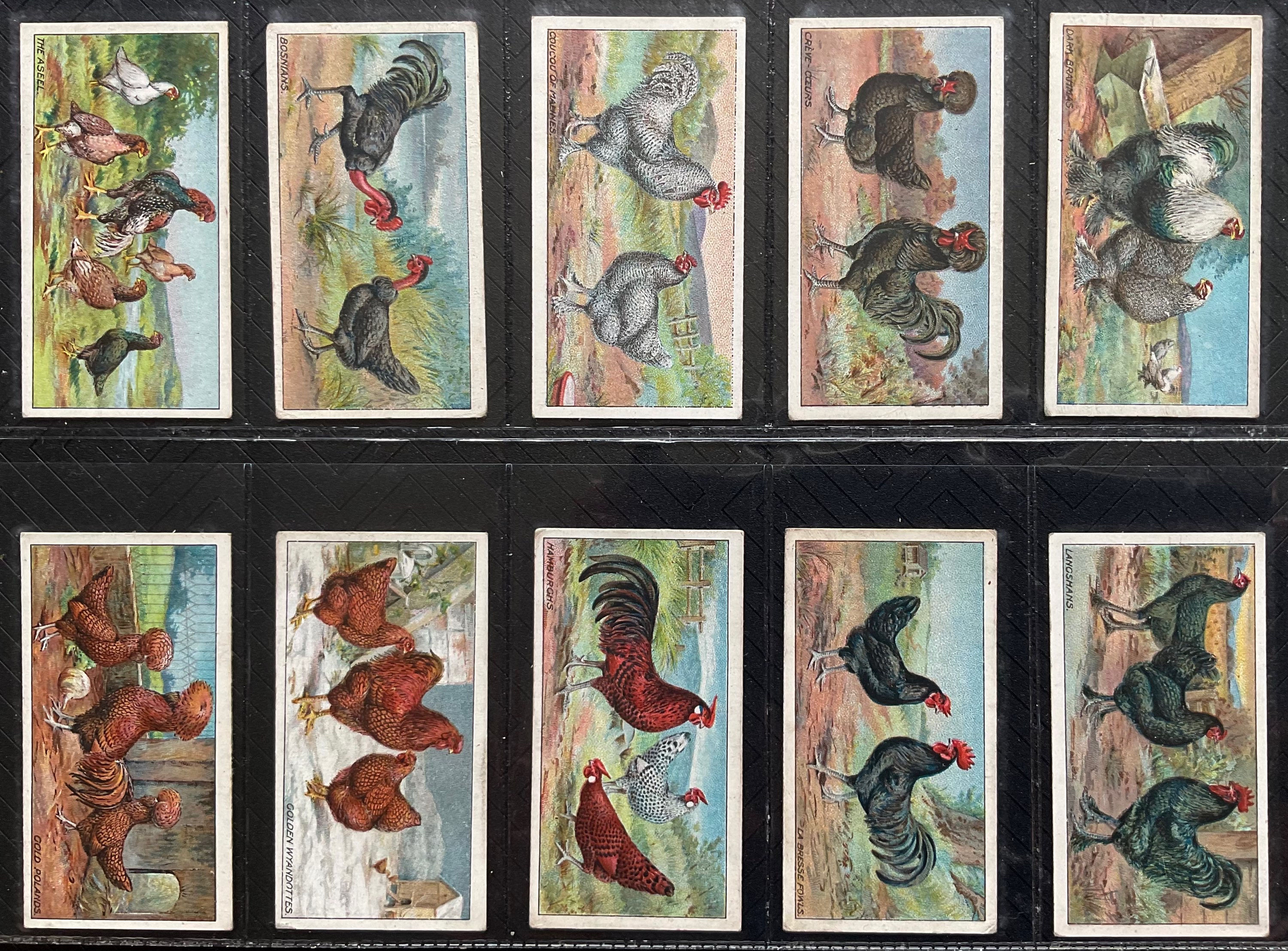 Ogdens Poultry Second Series Cigarette Cards