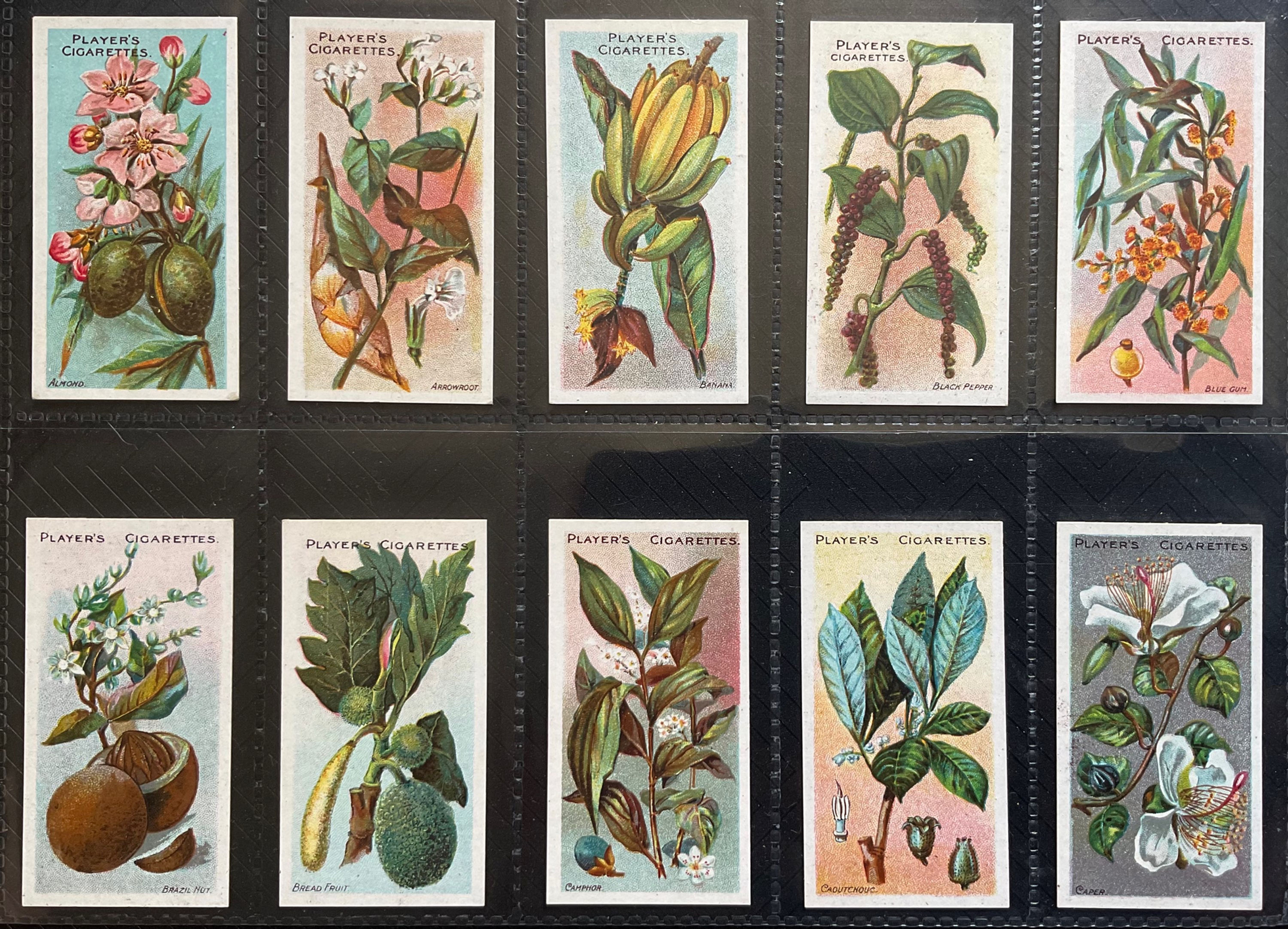 Players Useful Plants & Fruits Cigarette Cards