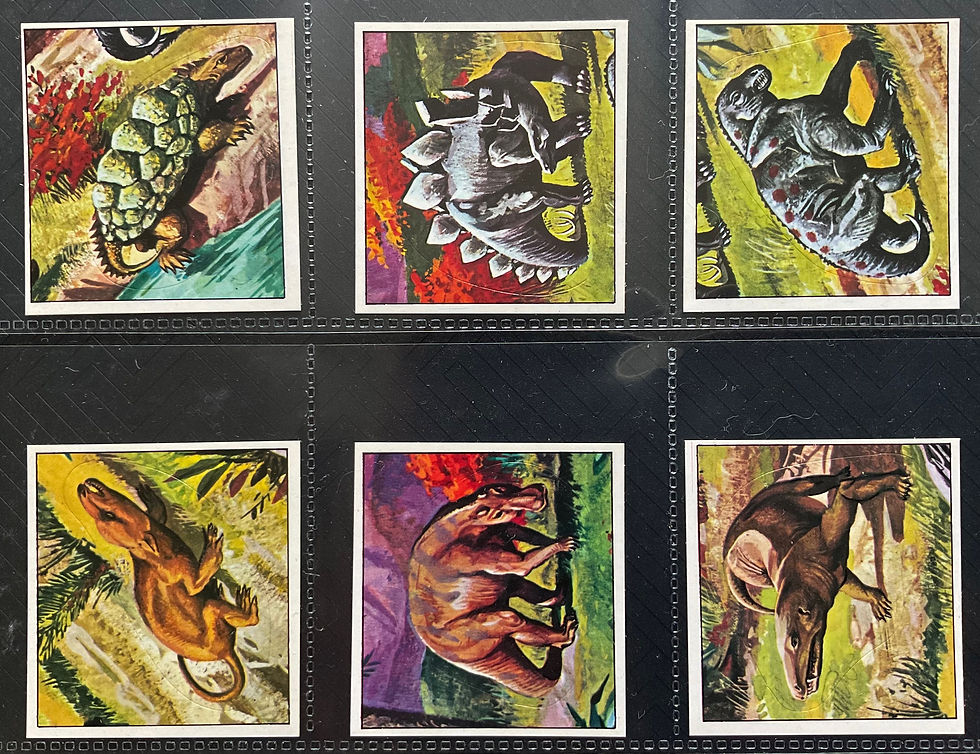 Thumbnail: Rowntrees Texan Prehistoric Animals Confectionary Cards