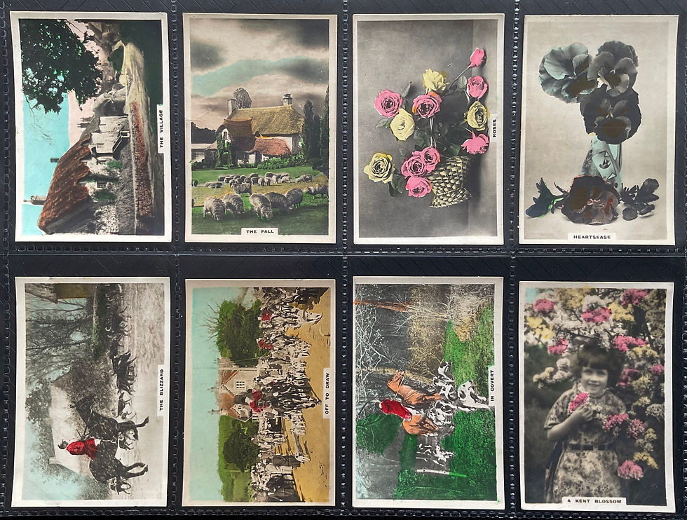 Thumbnail: Cavanders Camera Studies Cigarette  Cards