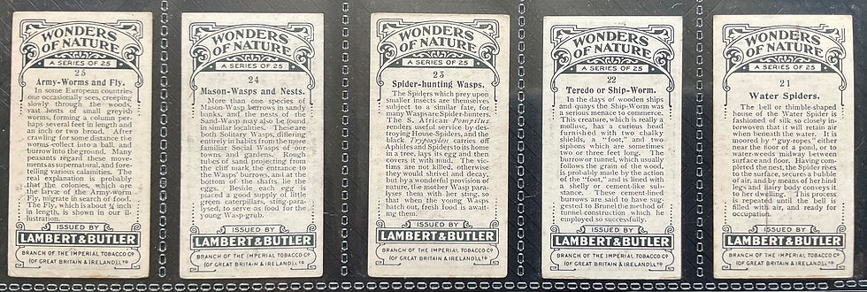 Thumbnail: Lambert & Butler Wonders Of Nature Cigarette Cards