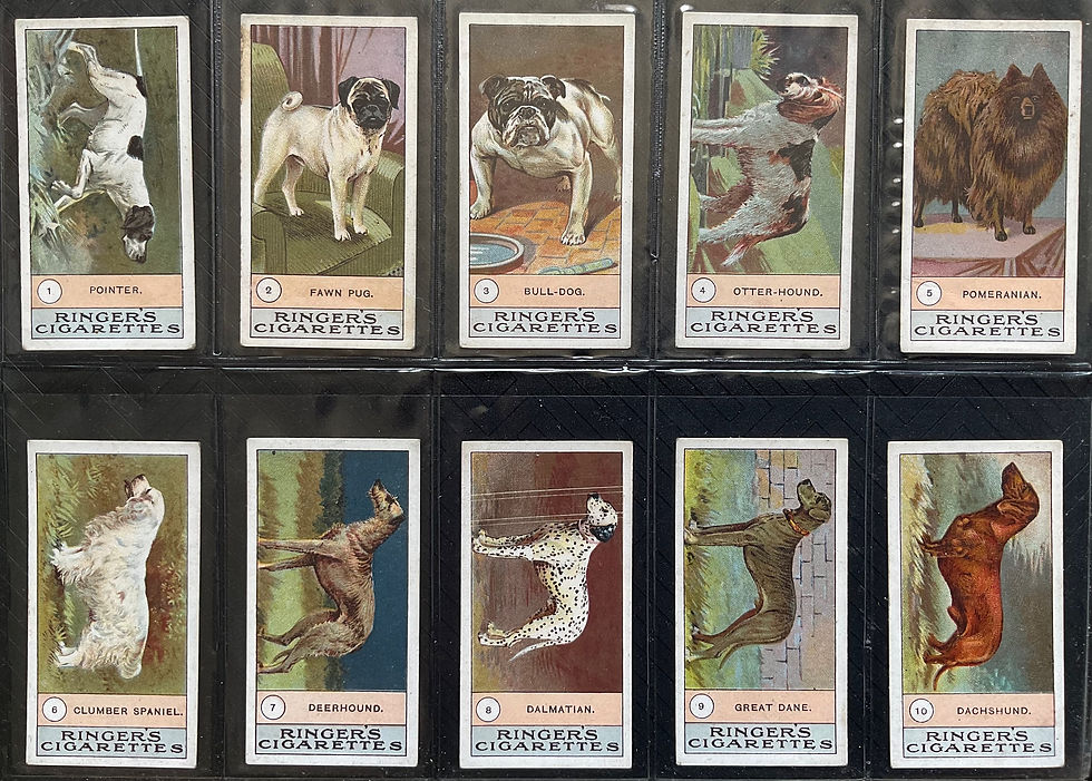 Edwards Ringer & Bigg Dogs Klondyke Back Cigarette Cards