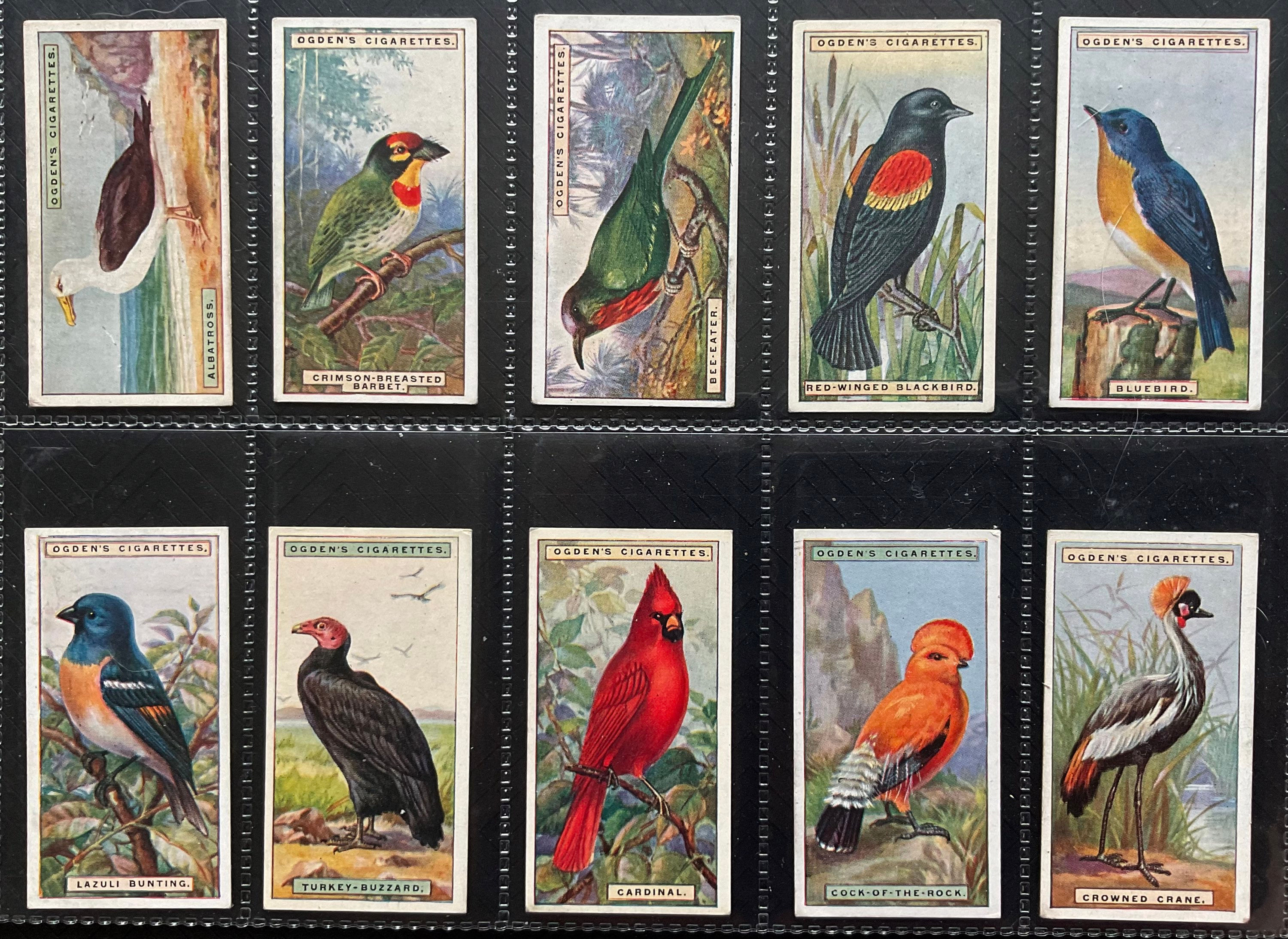 Ogdens Foreign Birds Cigarette Cards