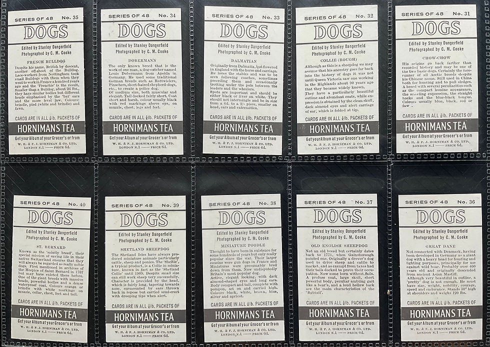 Thumbnail: Hornimans Dogs Tea Cards