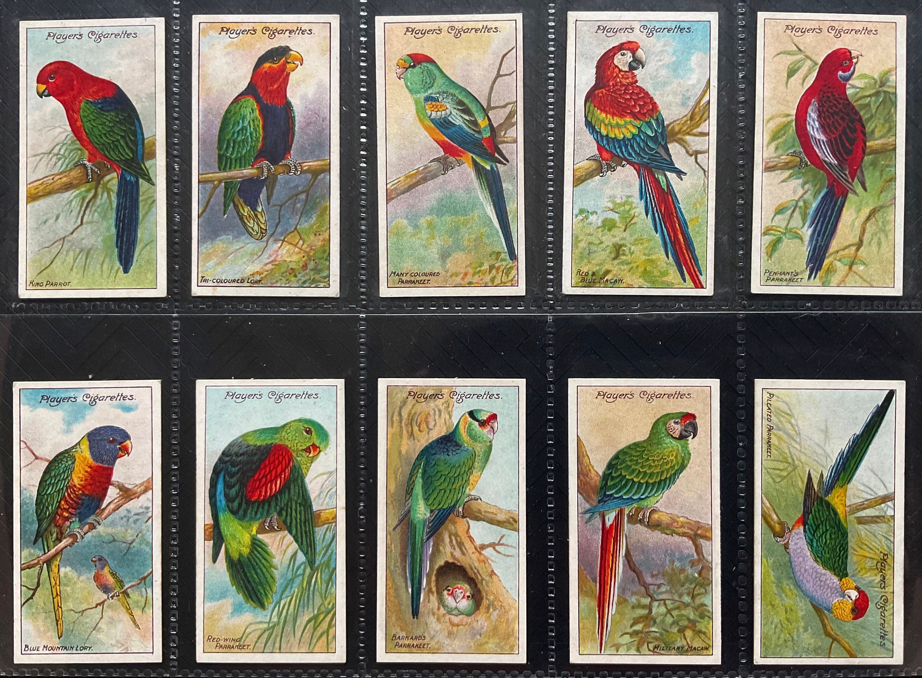 Players Nature Series Cigarette Cards