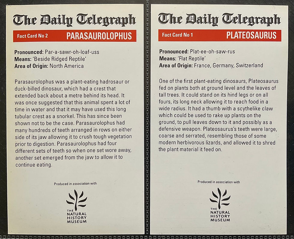 Thumbnail: Daily Telegraph Natural History Museum Dinosaur Facts Trade Cards