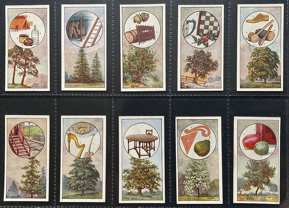 Thumbnail: Ogdens Overseas British Trees & Their Uses Cigarette Cards