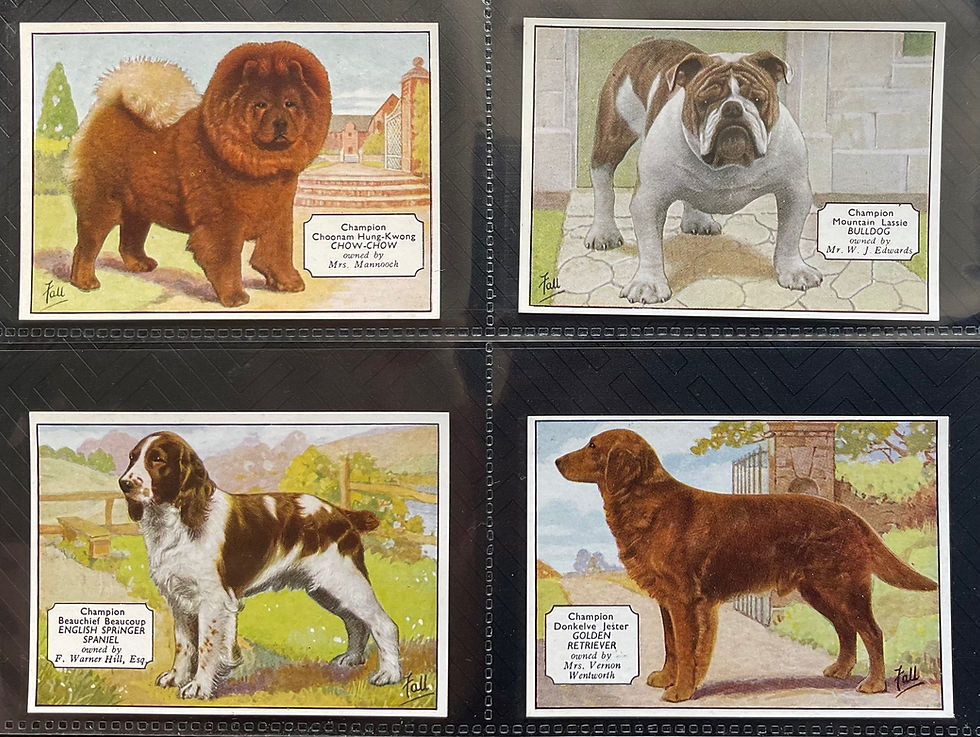 Thumbnail: Ardath Champion Dogs Cigarette Cards