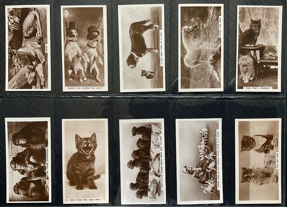 Thumbnail: Cavanders Animal Studies Cigarette Cards