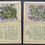 Thumbnail: Wix Kensitas Flowers Large 2nd Series Printed BackSilk Cigarette Cards