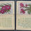 Thumbnail: Wix Kensitas Flowers Large 2nd Series Printed BackSilk Cigarette Cards