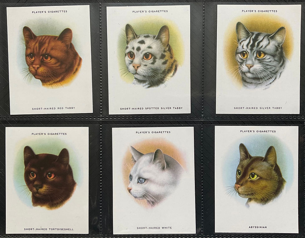 Thumbnail: Players Cats Reproduction Cigarette Cards