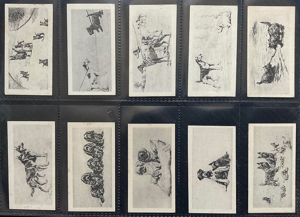British American Tobacco B.A.T Etchings Of Dogs Cigarette Cards