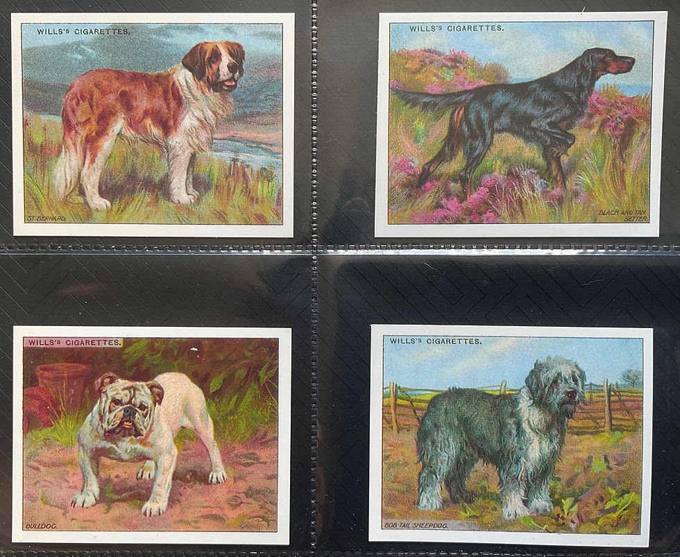 Thumbnail: Wills Dogs Reproduction Cigarette Cards